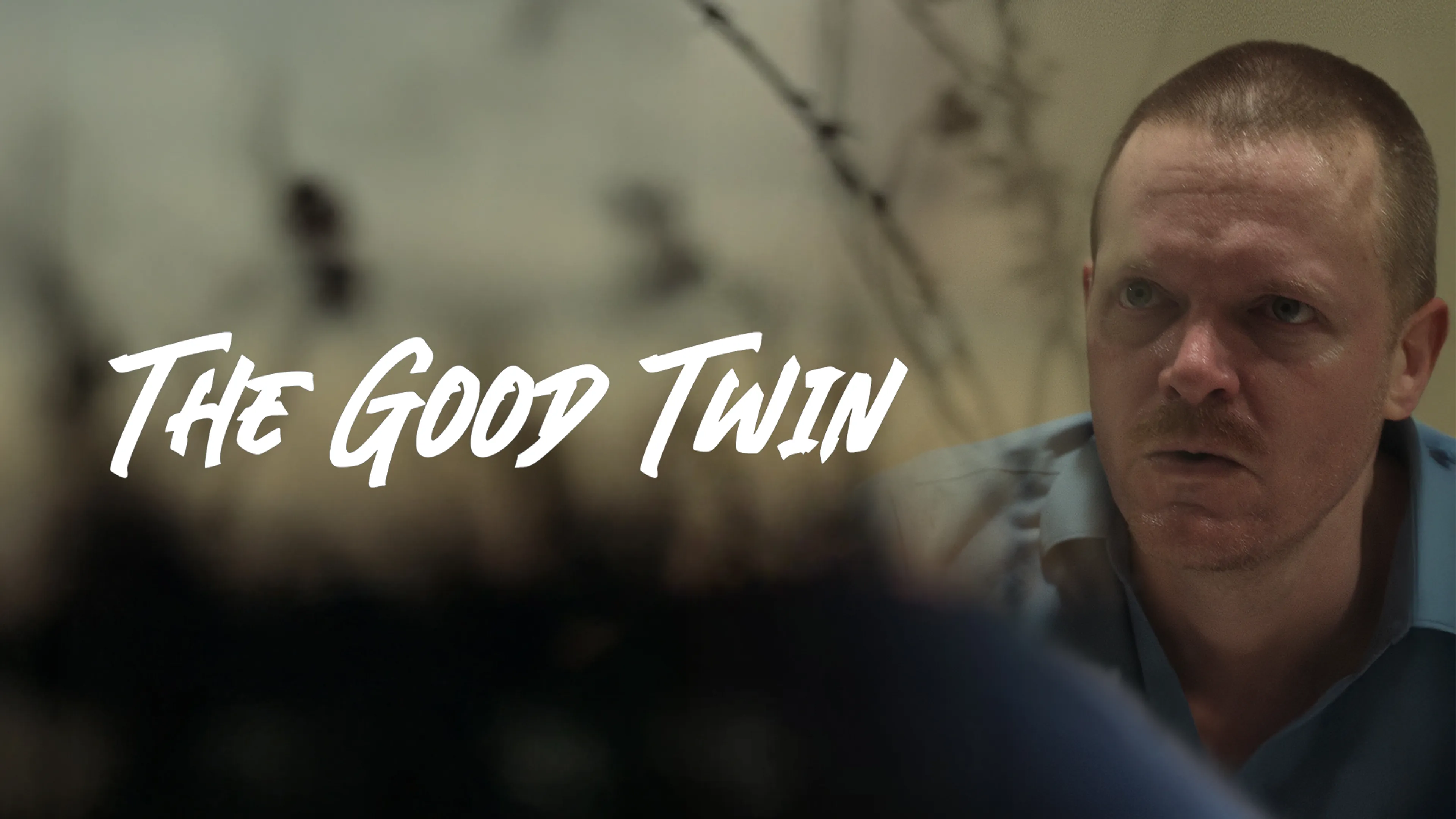 The Good Twin poster